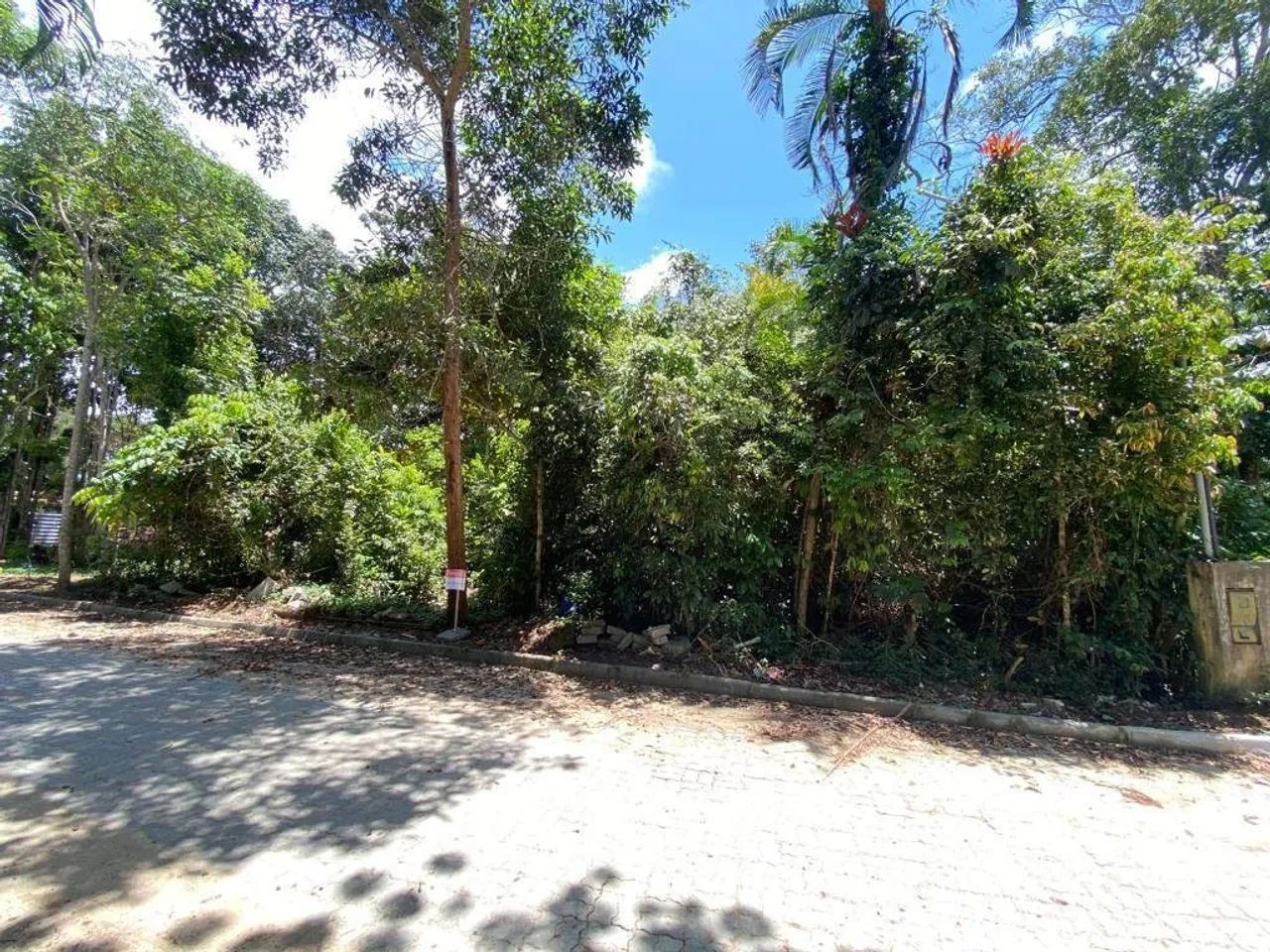 Terreno Coqueiral| Trancoso - Foto 2