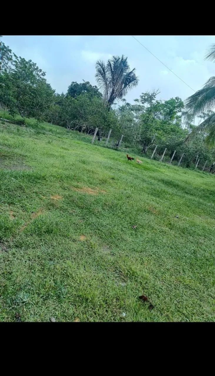 Vendo terreno  - Foto 3