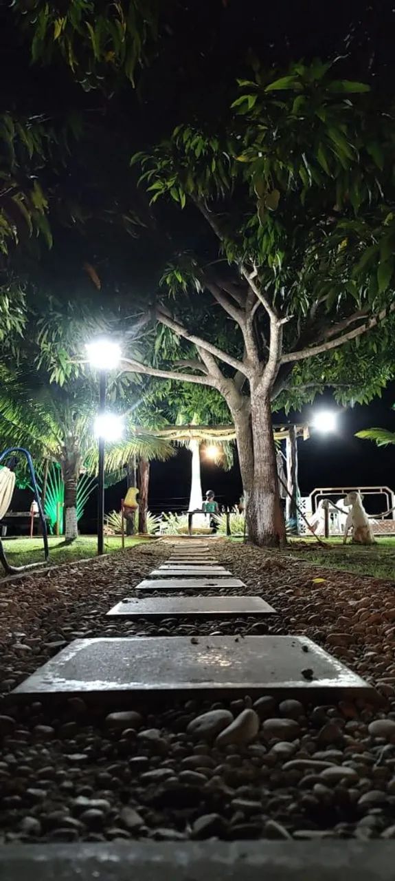 Na beira do Rio São Francisco  - Foto 3