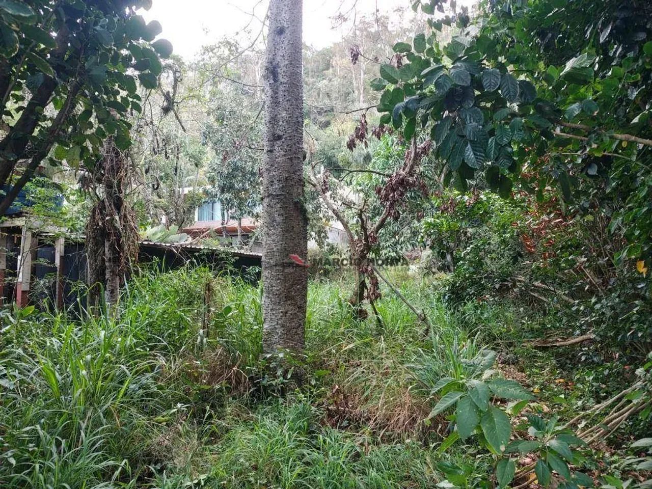 Terreno, Itacoatiara, Niterói - Foto 4
