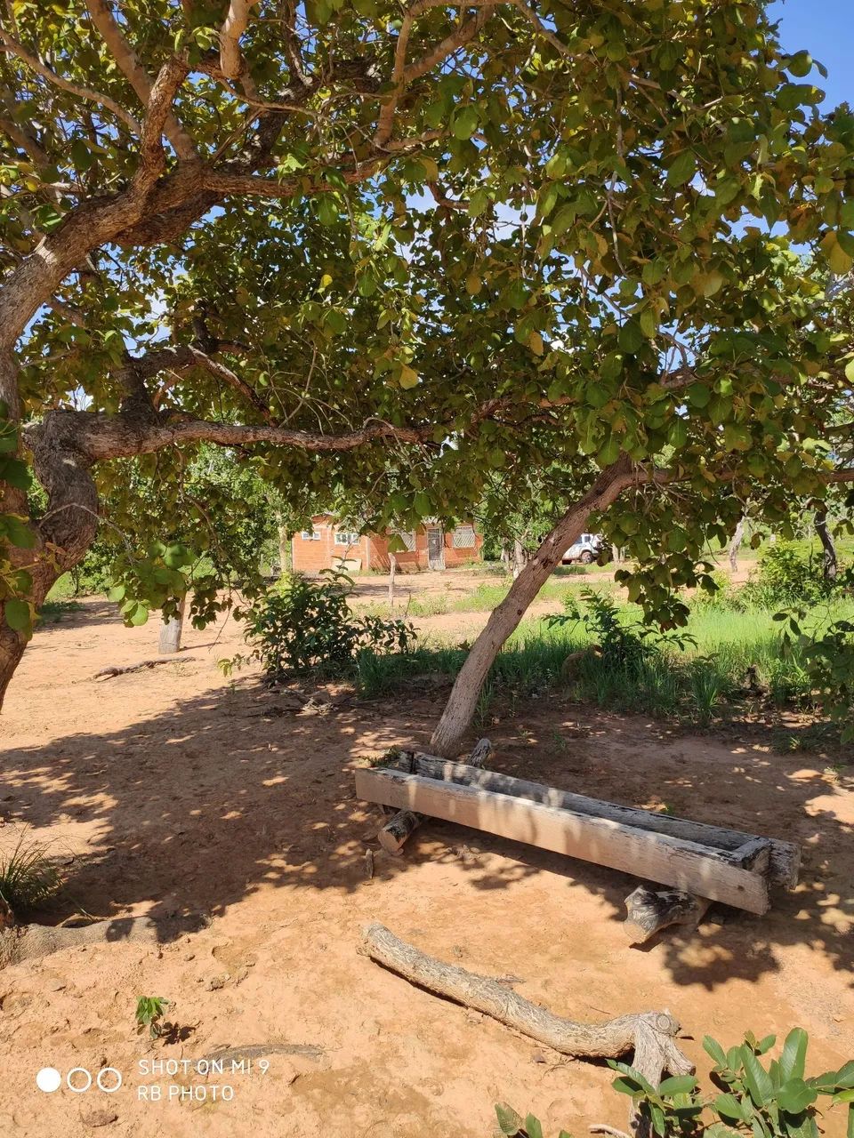 Sítio de 29,8ha só R$150 mil - Foto 3
