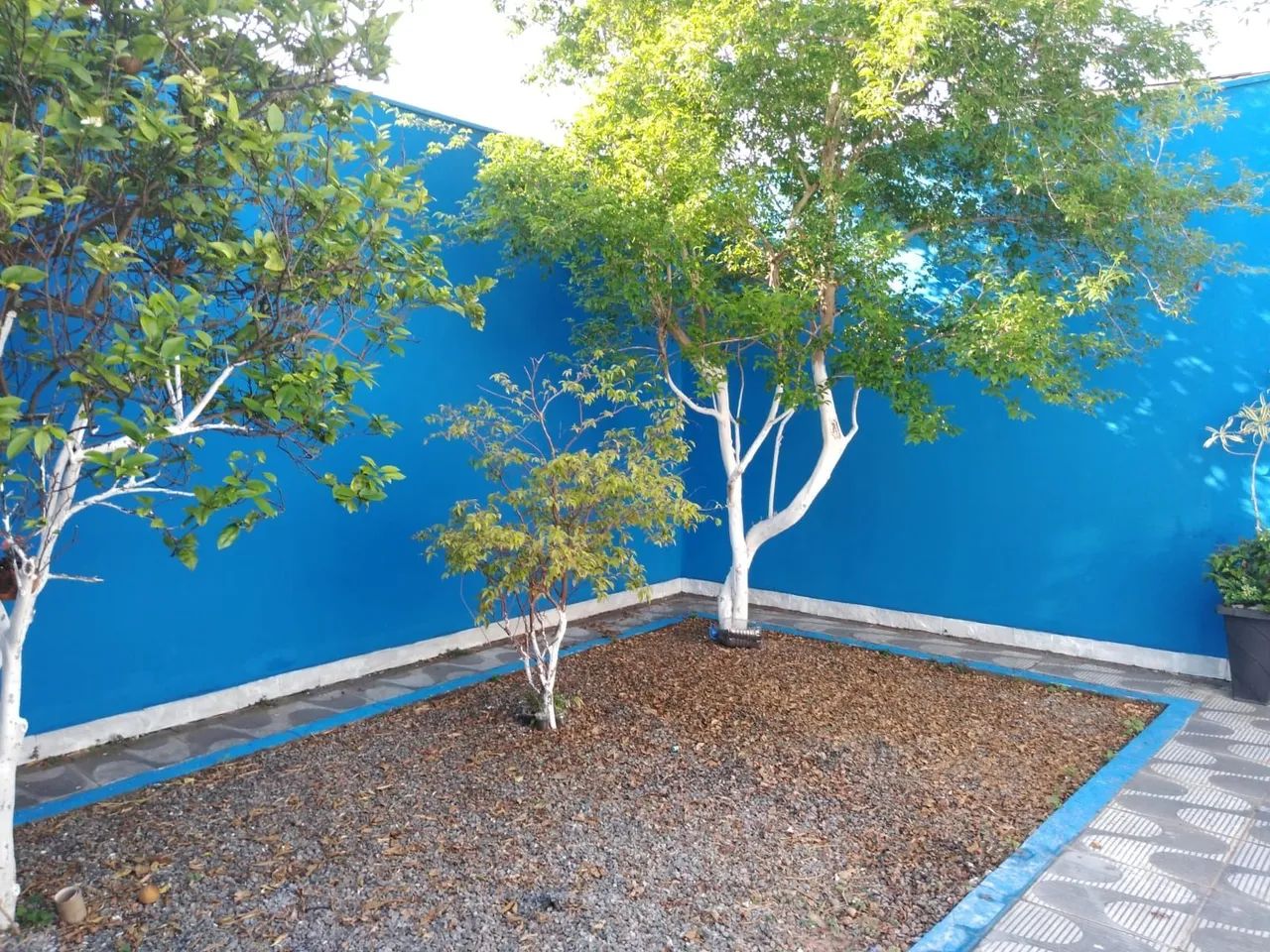 PINTOR RESIDENCIAL  - Foto 5