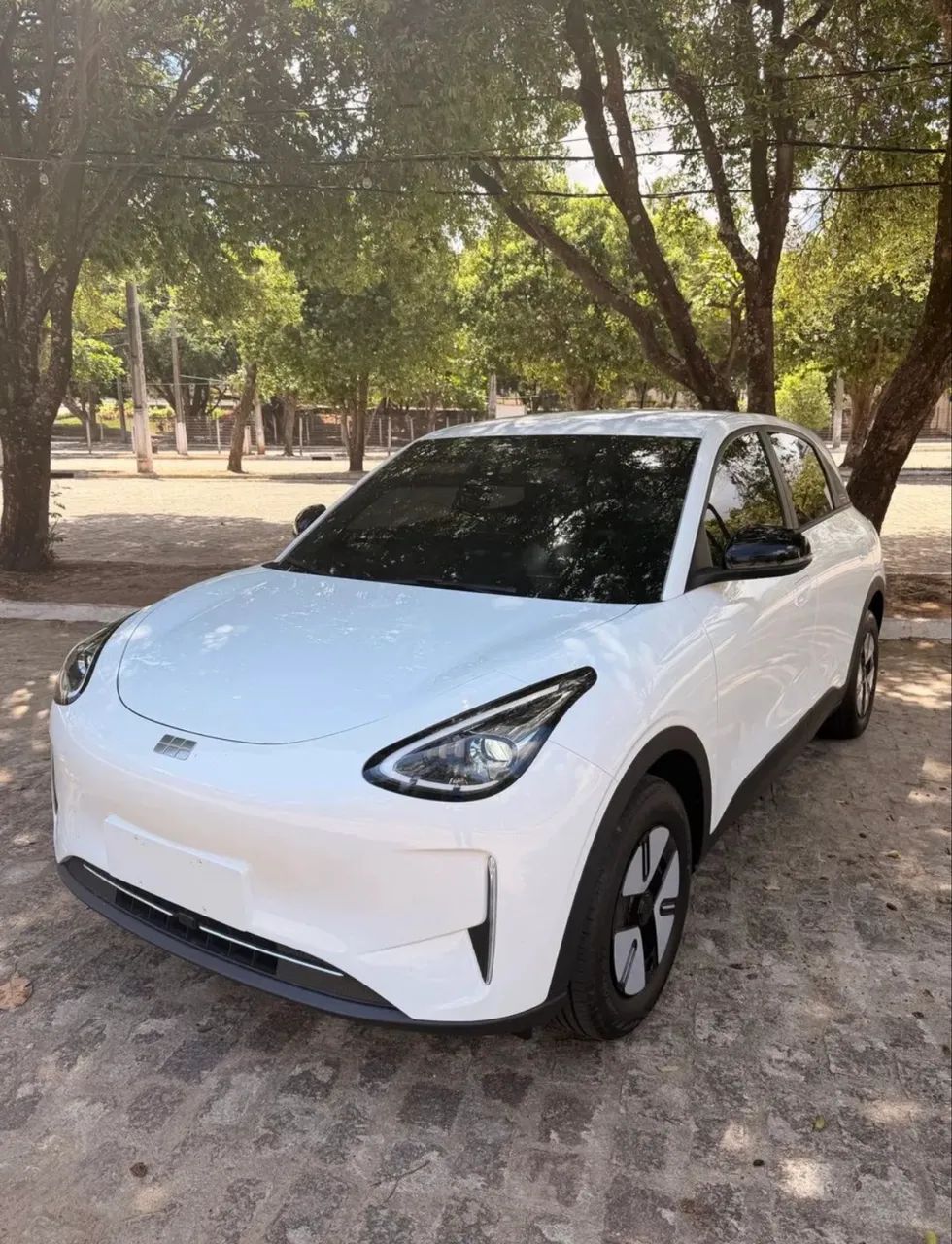 Locação ou aluguel de veículos elétricos 