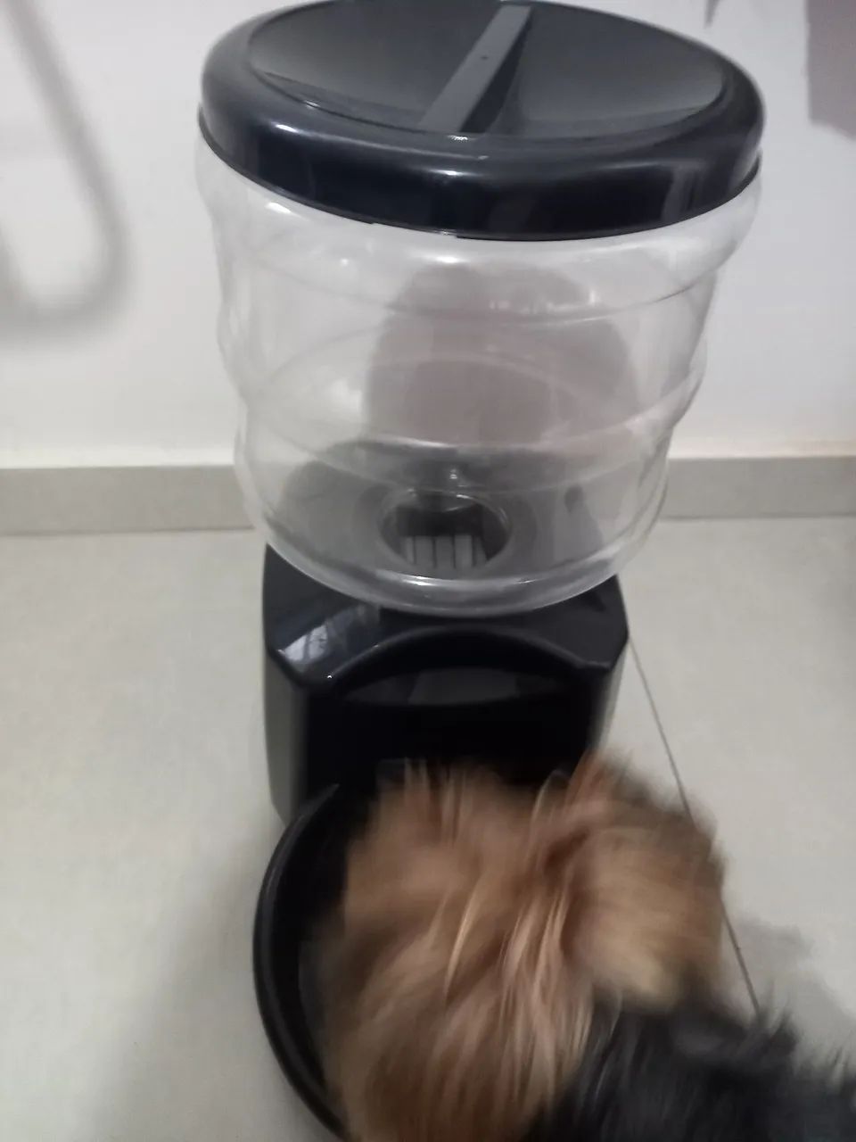 Comedouro automático para cachorro  - Foto 3