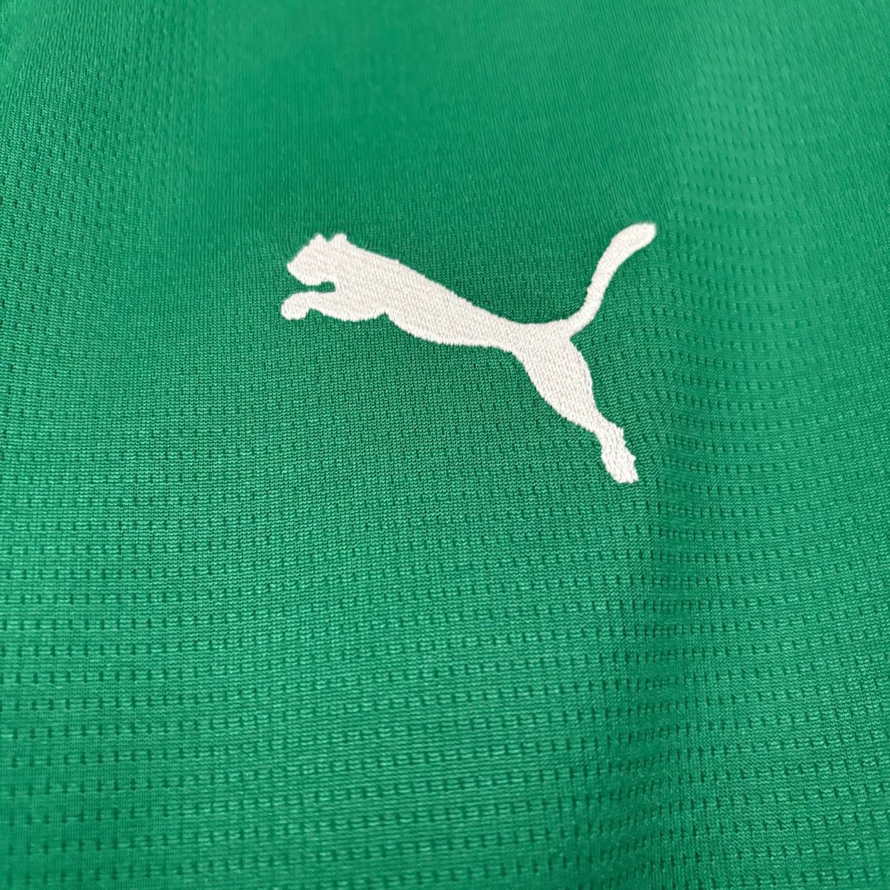 Camisa Palmeiras verde 2026 - Foto 2