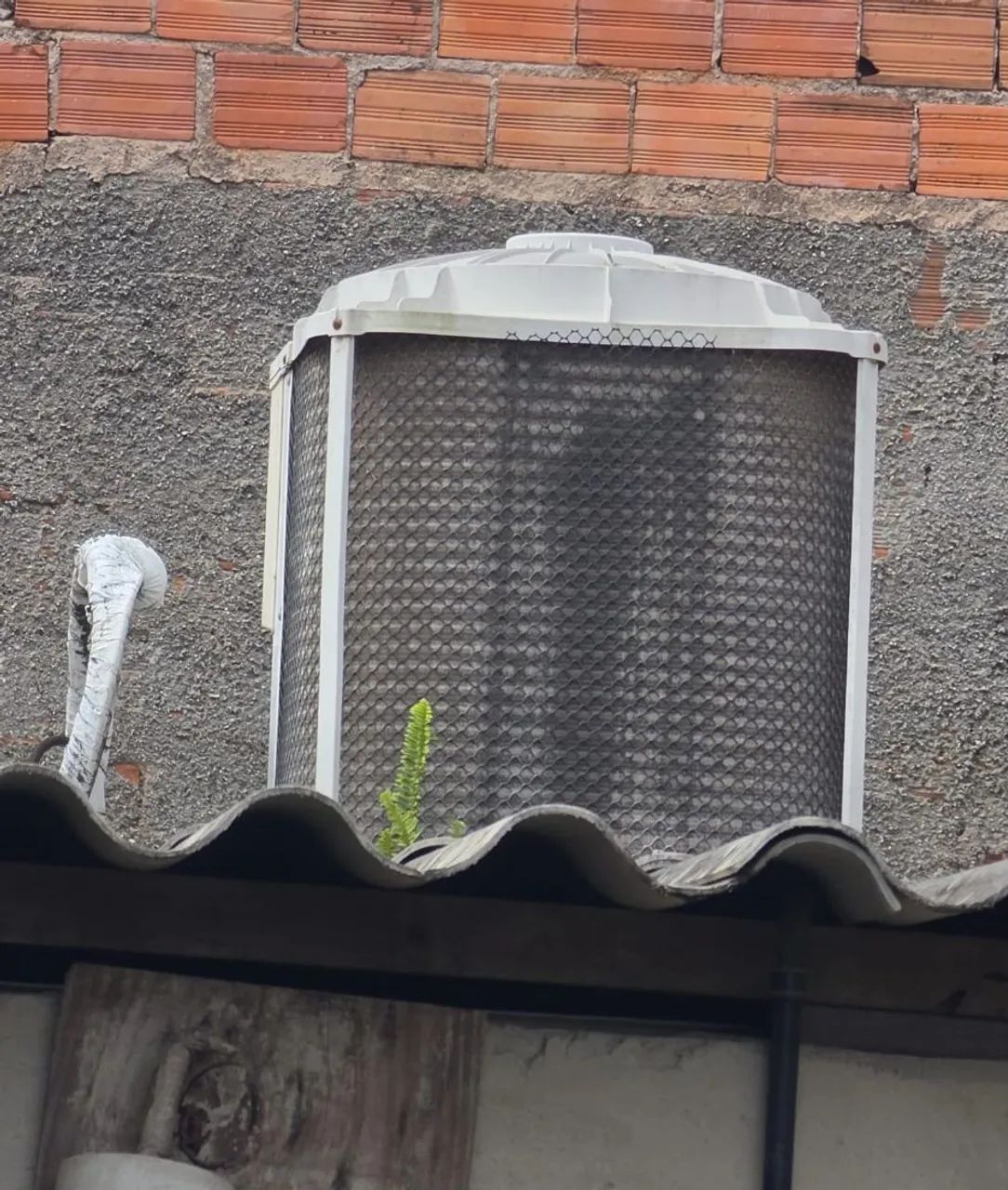 Camara Fria  - Foto 4