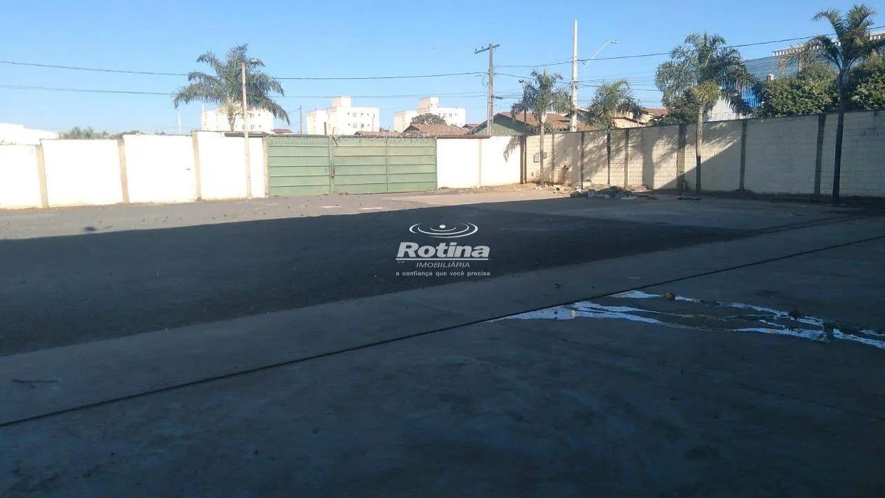 Galpão estilo garagem em área de 3.500m2 - Foto 2
