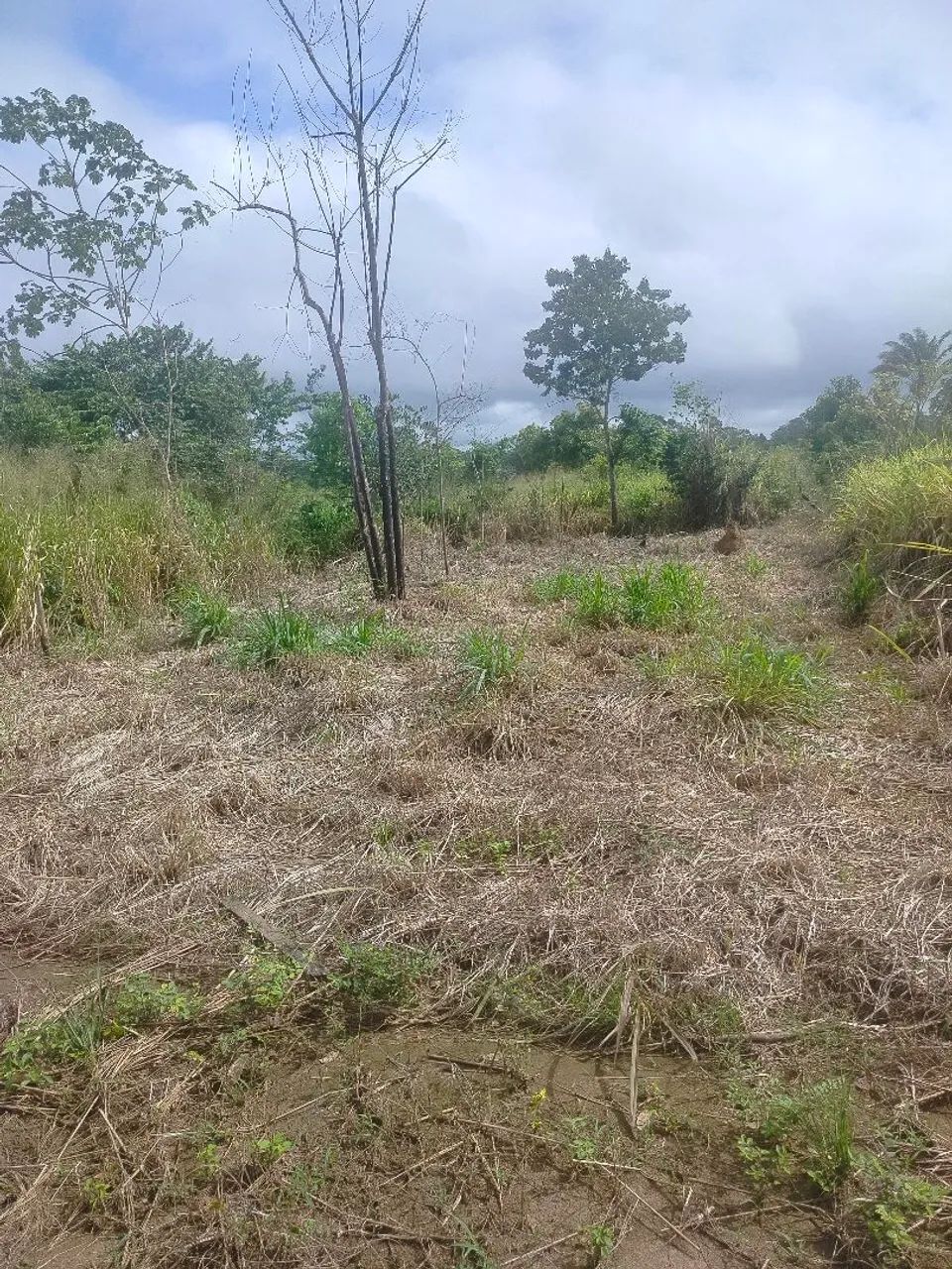 Vende-se ou troca um terreno já quitado, no mexicano 