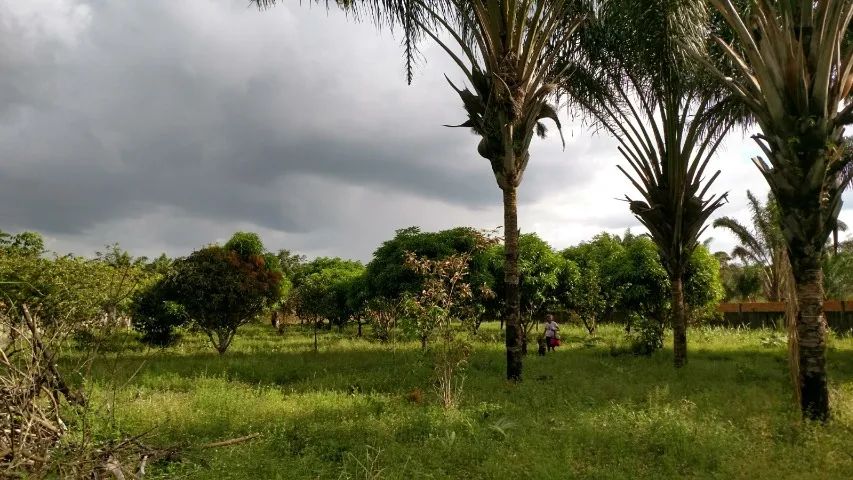 Terreno 36x96 em Terra Alta-PA