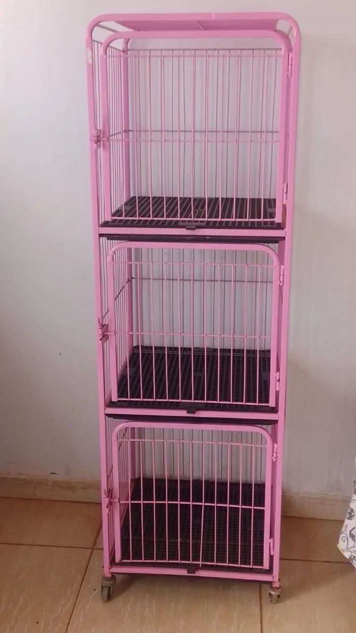 Equipamentos Pet Shop - Foto 2