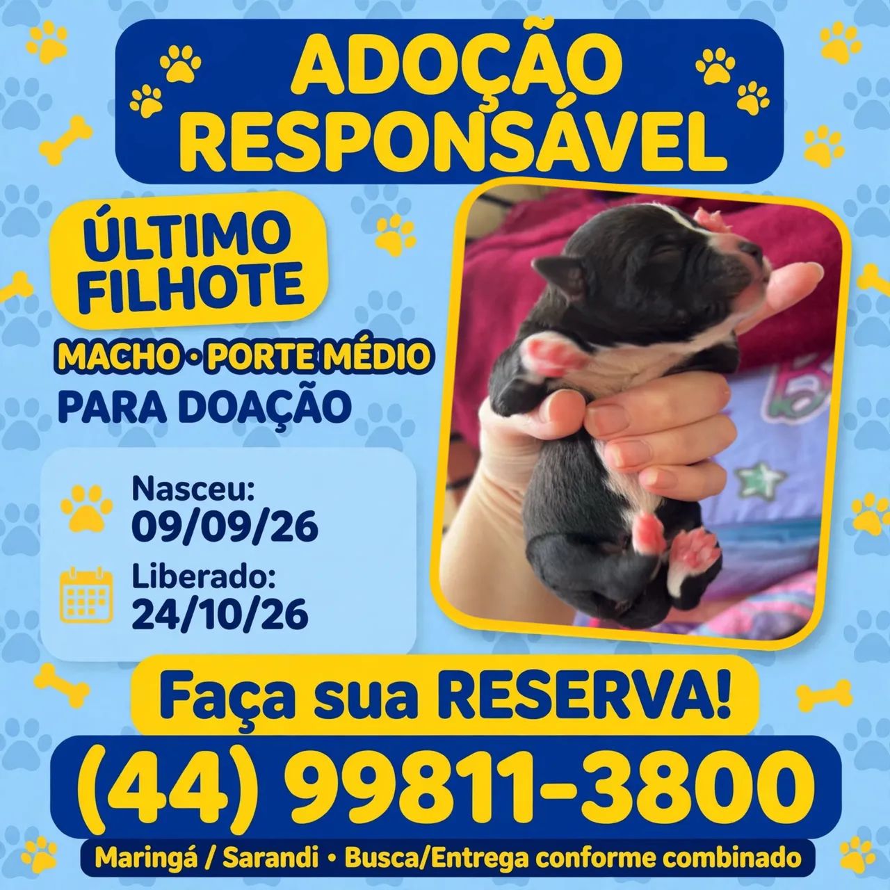 Filhote