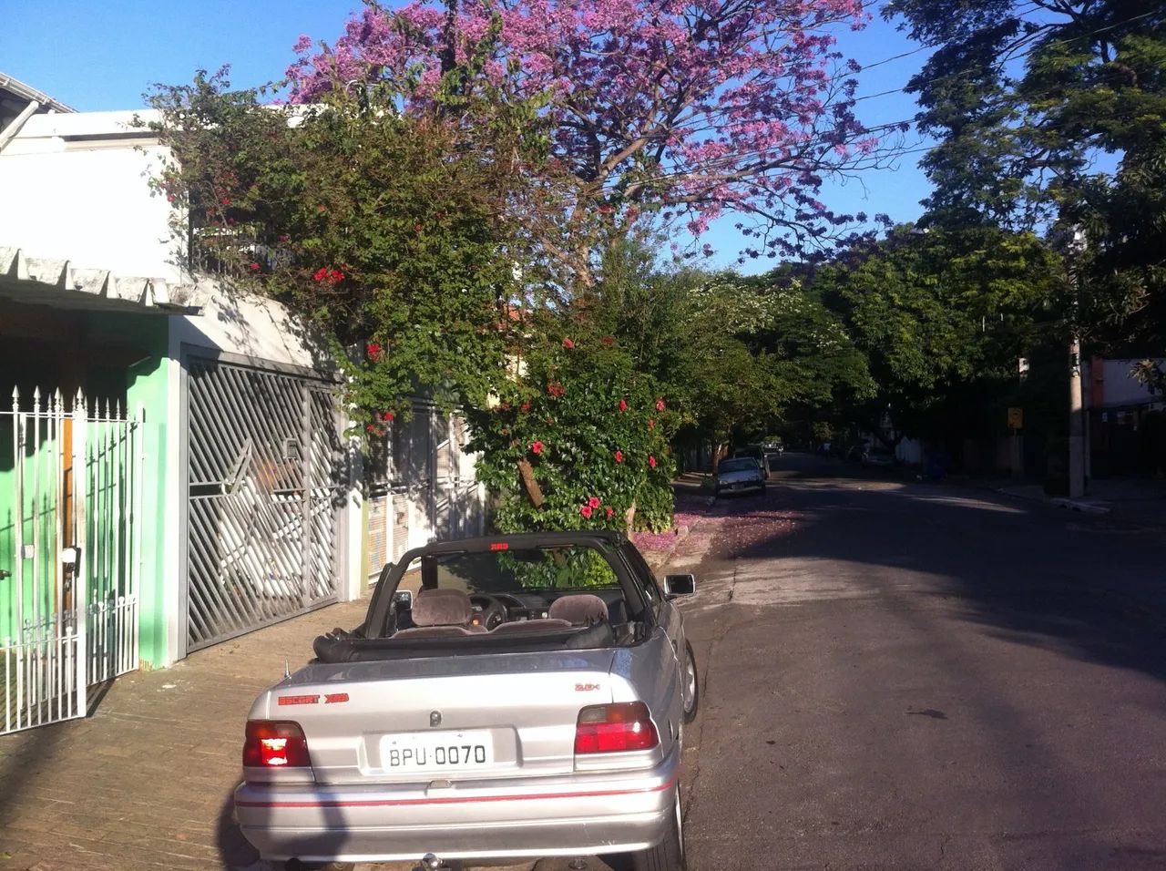 Foto - São Paulo - Planalto Paulista
