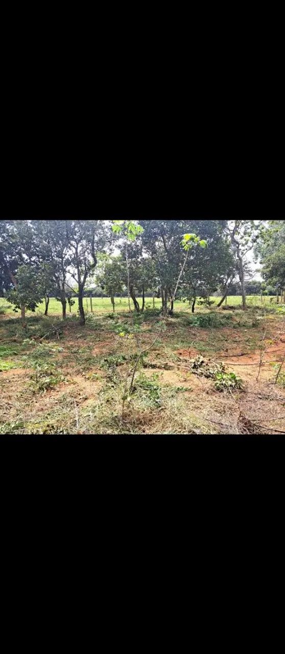 Vendo ou troco chacara em Paraopeba  - Foto 4