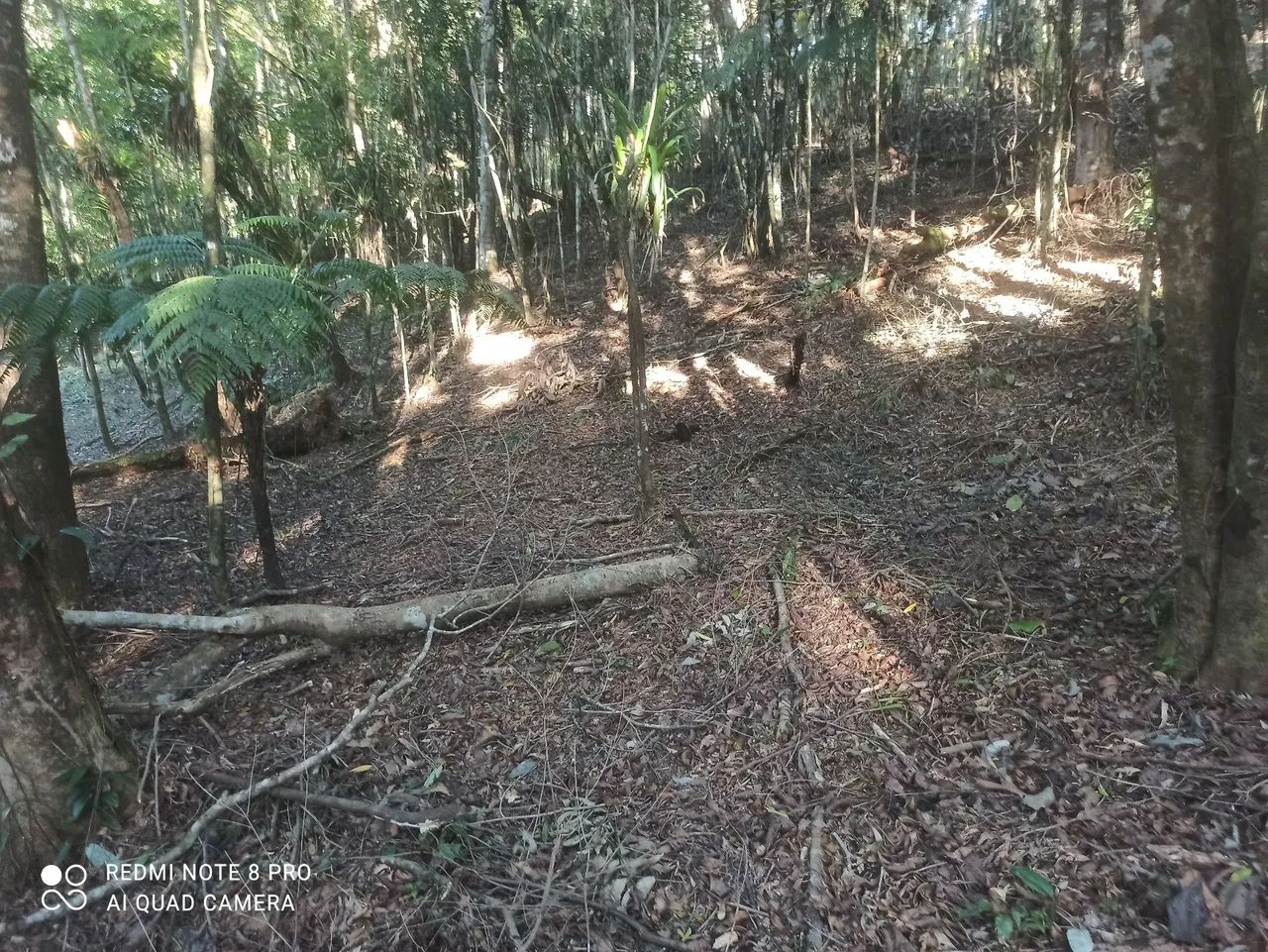  chácara em Antonina  - Foto 5