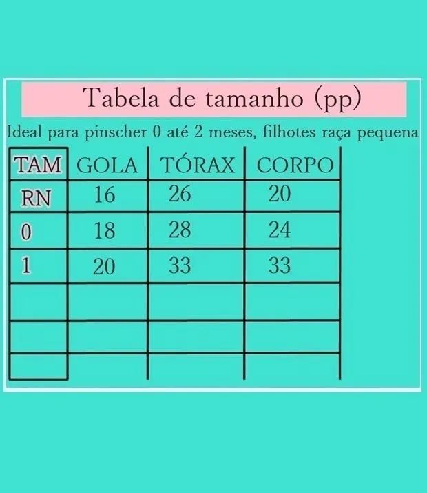 3 Roupa pet em Soft (pp), cães e gatos - Foto 5