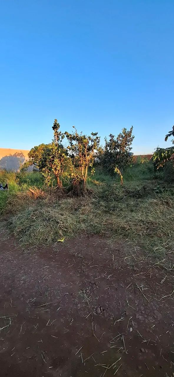 TERRENO À VENDA - RECANTO DO CERRADO | PRÓXIMO À UCDB - Foto 3