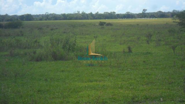 Fazenda em Eunápolis - Foto 6