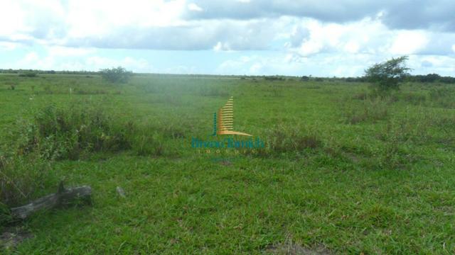 Fazenda em Eunápolis - Foto 12