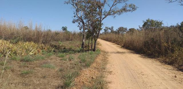 Vende se esta chacara no manso - Foto 11
