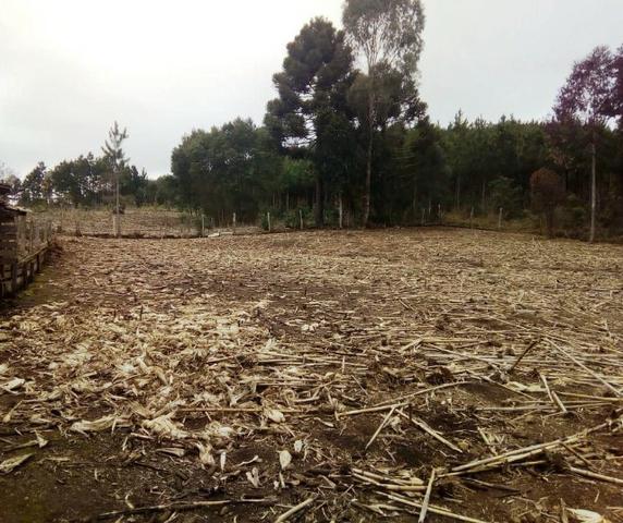 Sítio na Vila Rural (Queimadas) em Inácio Martins - Área: 5,044.09 m² - Foto 2