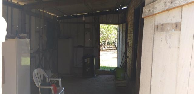 Vende se esta chacara no manso - Foto 2