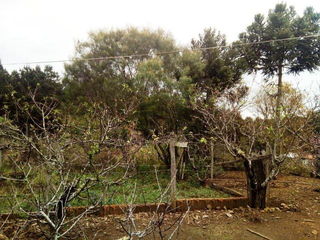 Sítio na Vila Rural (Queimadas) em Inácio Martins - Área: 5,044.09 m² - Foto 18