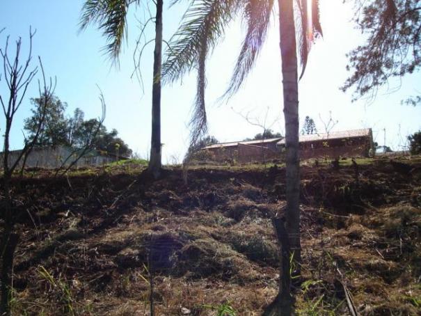 Terreno para alugar em Fazenda gleba palhano, Distrito espirito santo cod:00611.008
