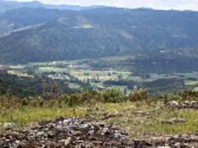 Sitio em Urubici/ área rural /chácara - Foto 3