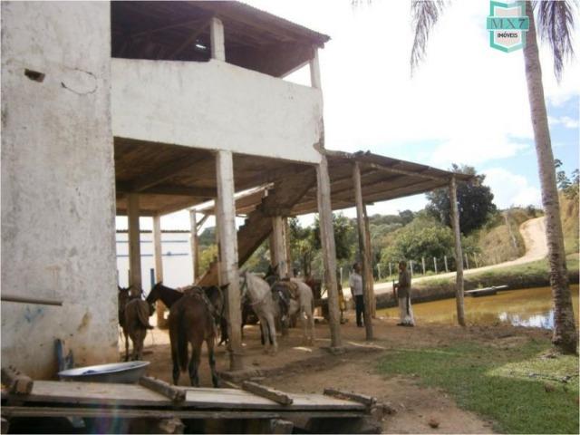Fazenda na cidade de Ibirataia a 340 Km de Salvador e 320 Km de Camaçari - Foto 6