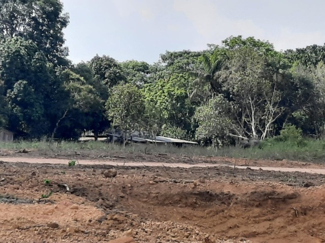 Chácaras Vista Bela Km-13 //15 Minutos Depois da Ponte do Rio Negro - Foto 2