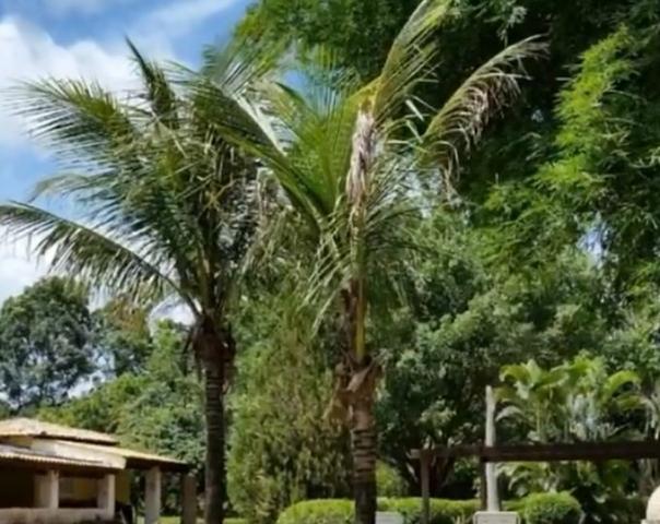 Linda Chácara Terra Do Boi I - Foto 6