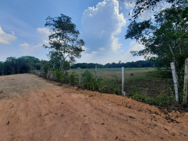 Chácaras Vista Bela Km-13 //15 Minutos Depois da Ponte do Rio Negro - Foto 9