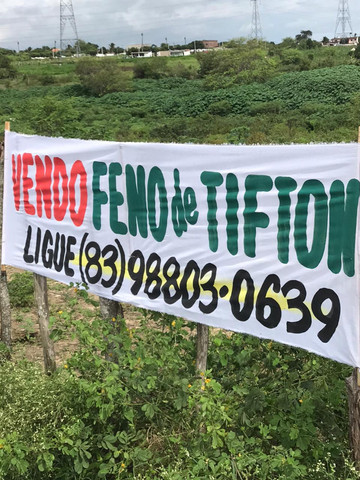 Vendo feno de tifton
