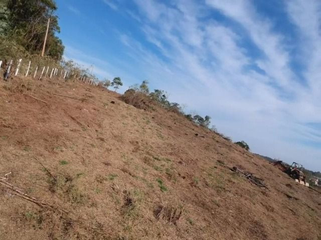 31d-Terreno para uma nova vida aproveite !!! - Foto 3