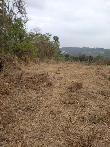 08D Pode ser seu !! 1000m² - Foto 6