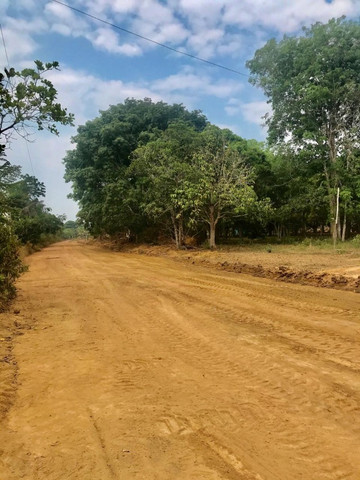 Chácaras Vista Bela Km-13 //15 Minutos Depois da Ponte do Rio Negro - Foto 14