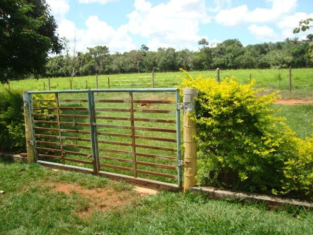Chácara Excelente 2,5 Alqueires, Próximo à Rozelandia-Bela Vista de Goiás - Foto 7