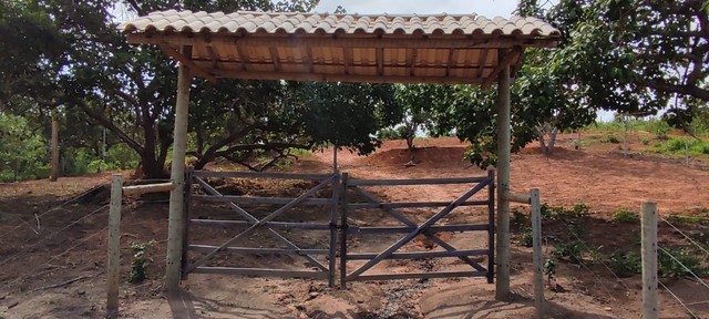 vendo chacara - Foto 3