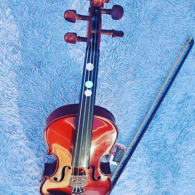 Violino Eagle ve 431