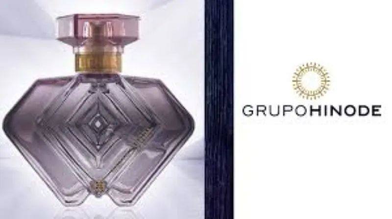 Perfume Feminino Lesér Eua de Parfum 100ml Hinode - Foto 3