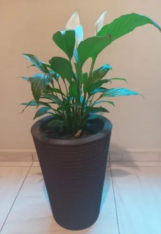 vaso decoraçao - Foto 3