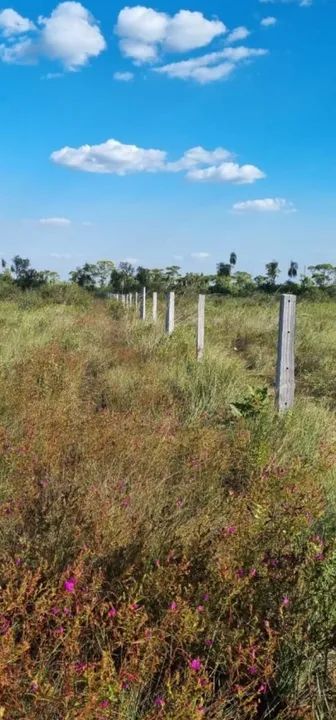 Fazenda com 3.000 hect 75% aberta em porto alegre do norte MT. 7 milhoes - Foto 5