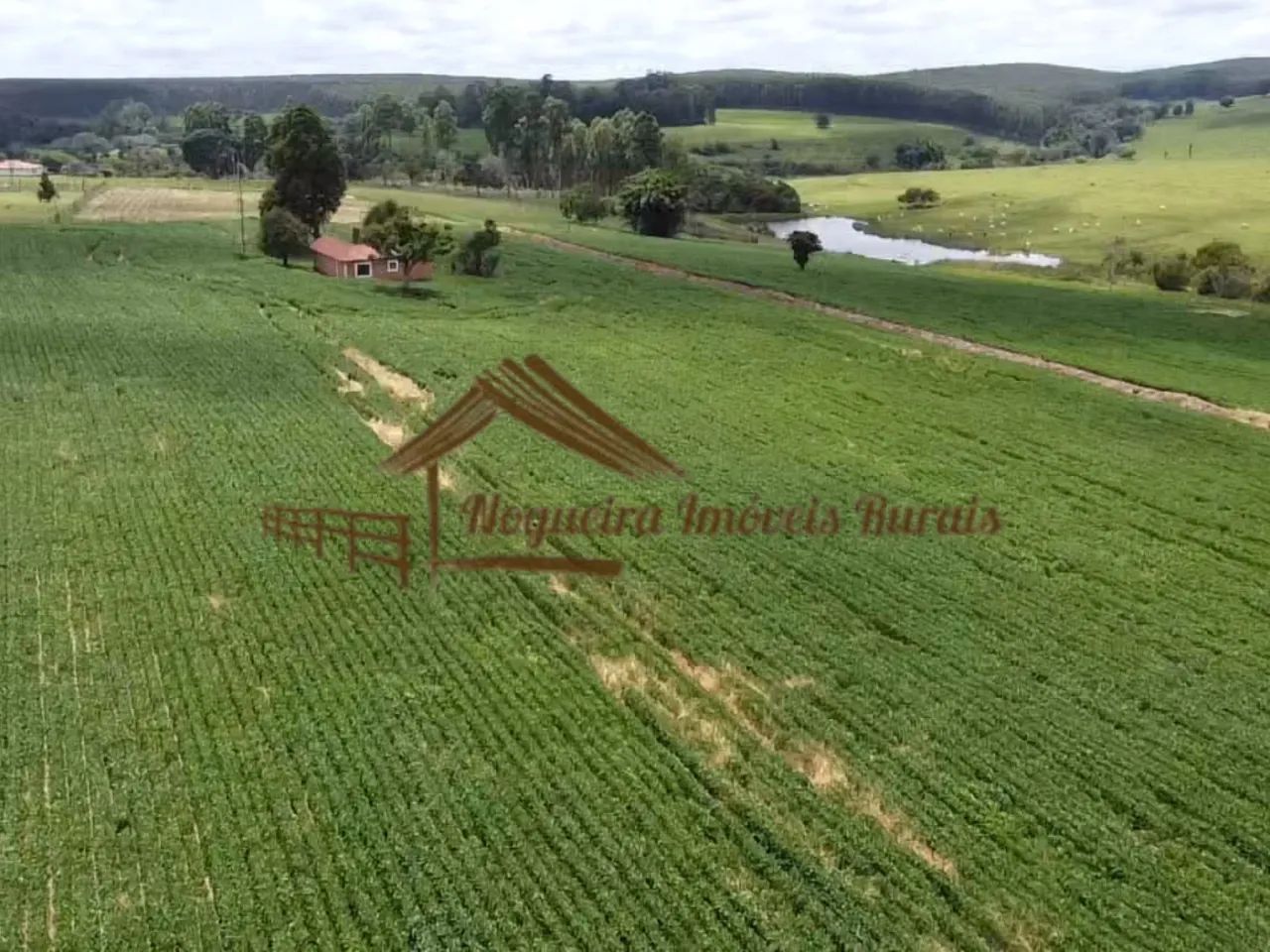 Sítio com 16 Alqueires na Região De Avaré-SP - Foto 8