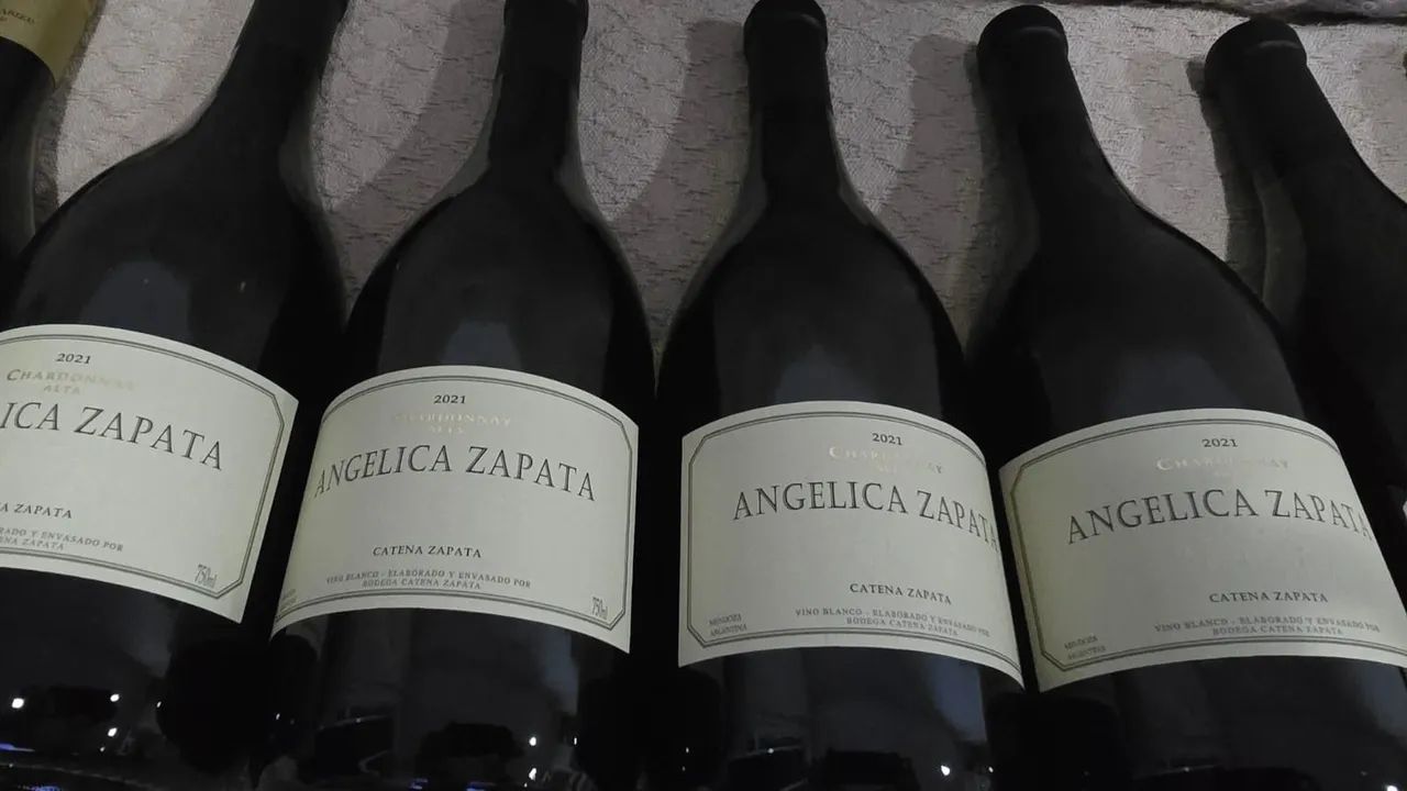 Vinhos Argentinos Branco de Alta Qualidade! - Foto 3