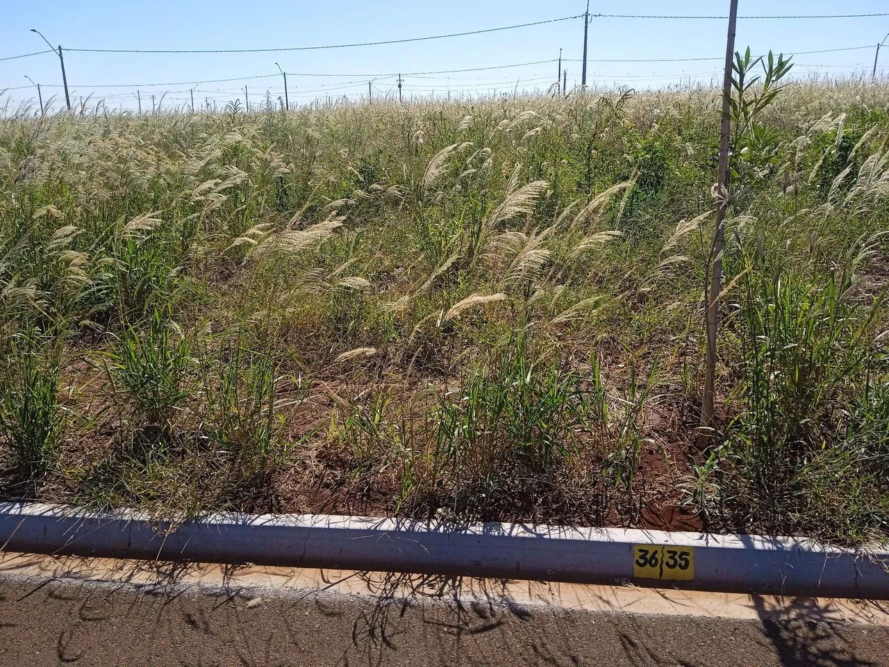foto - Ribeirão Preto - Alto do Ipiranga