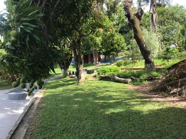 Lindo Sitio  Casa de campo - Foto 4
