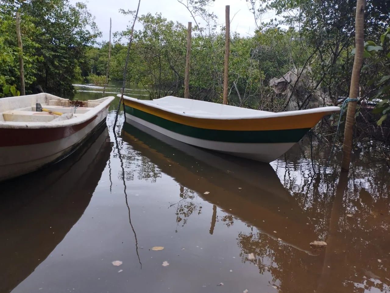 Bote de fibra  - Foto 7