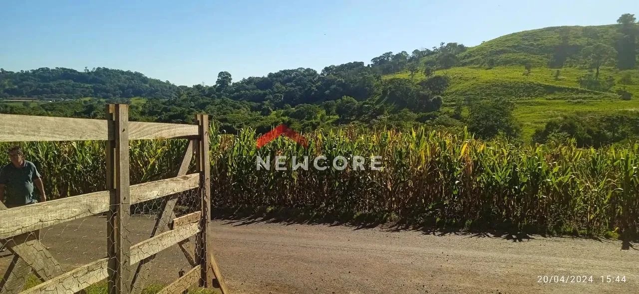 Chácara em estrada sem n° - Linha Sol e Ouro - Medianeira/PR