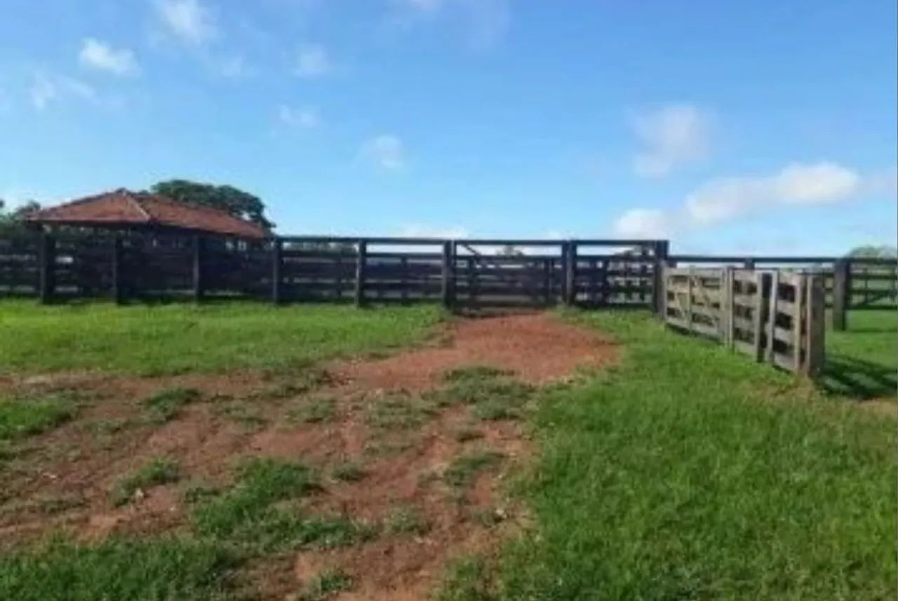 Crédito rural no boleto bancário  - Foto 2