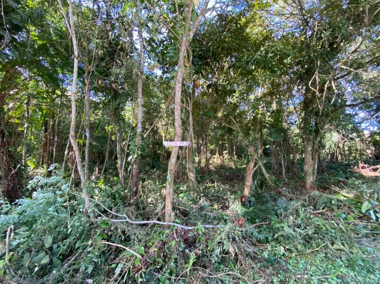 Vendo ou troco terreno em Itanhaém para chácara com 6.990mt2 - Foto 2